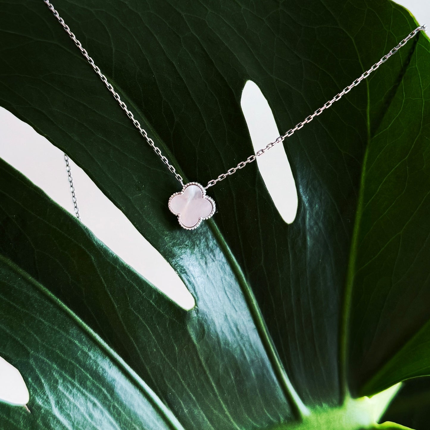 Срібний комплект прикрас/сережки та кольє/перламутр/срібло 925пр/338