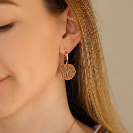 Сережки з вишиванкою | Silver Embroidery Earrings | Позолота 585 | Ukrainian Jewelry 1317